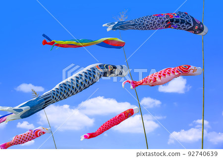 Carp streamer 92740639