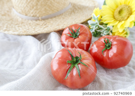 delicious ripe tomatoes delicious ripe tomatoes 92740969