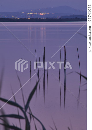 Sunset on the great lake, from the reeds, 92741021