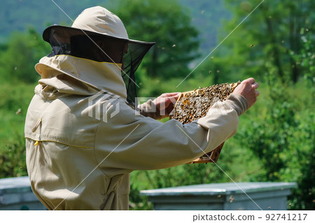 Beekeeper removing honeycomb from beehive. Person in beekeeper suit taking honey from hive. Farmer wearing bee suit working with honeycomb in apiary. Organic farming. Copy-space Beekeeper removing honeycomb from beehive. Person in beekeeper suit taking honey from hive. Farmer wearing bee suit working with honeycomb in apiary. Organic farming. Copy-space 92741217