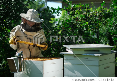 Young female beekeeper hold wooden frame with honeycomb. Collect honey. Beekeeper on apiary. Beekeeping concept. Copy space. Young female beekeeper hold wooden frame with honeycomb. Collect honey. Beekeeper on apiary. Beekeeping concept. Copy space. 92741218