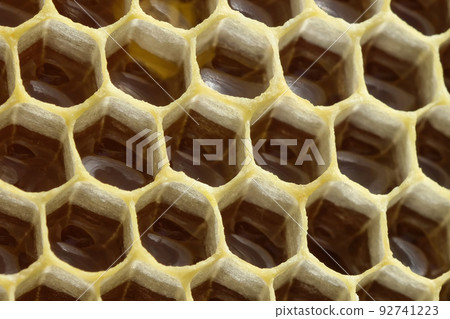 A fragment of a honeycomb with honey. Macro photo. Beekeeping and honey production image. 92741223
