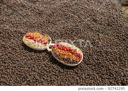 Coffee beans of different processing processes on dried coffee beans Coffee beans of different processing processes on dried coffee beans 92742295