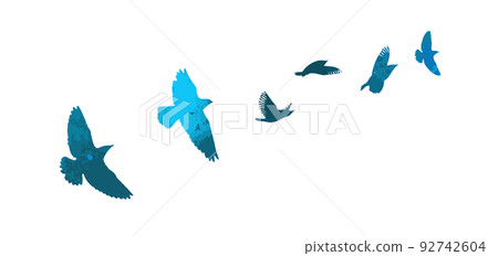 Bird watercolor. A flock of colorful birds. Mixed media. Vector illustration 92742604