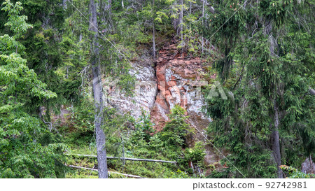 Mirror cliffs and an old river channel in a very beautiful forest in Cirulu nature trails, Latvia. 92742981
