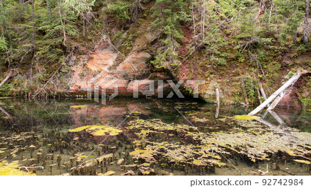 Mirror cliffs and an old river channel in a very beautiful forest in Cirulu nature trails, Latvia. 92742984