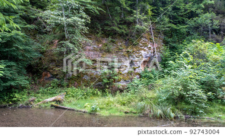 Mirror cliffs and an old river channel in a very beautiful forest in Cirulu nature trails, Latvia. 92743004