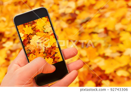 Blur background autumn mobile camera taking picture smartphone nature fall leaves ground. Close up hand phone taking photo phone nature autumn leaves background fall. Making photo mobile phone picture 92743306