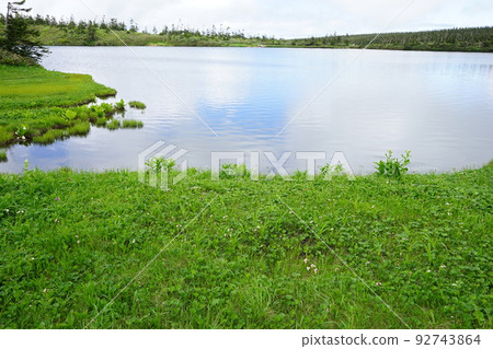 Hachimantai in summer is a flower garden Hachiman-numa Hachimantai in summer is a flower garden Hachiman-numa 92743864