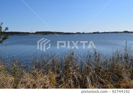 Ushiku Swamp Ryugasaki City, Ibaraki Prefecture 92744192