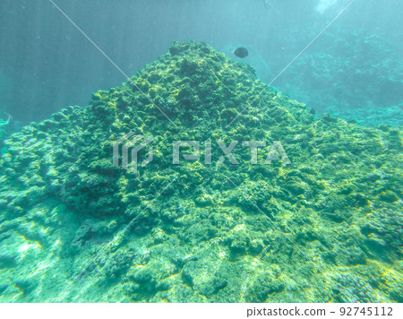 sharks cove snorkeling in oahu hawaii north shore 92745112