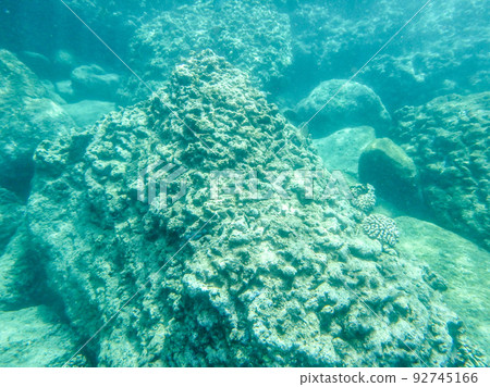 sharks cove snorkeling in oahu hawaii north shore sharks cove snorkeling in oahu hawaii north shore 92745166