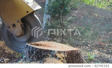 stump grinding machine hard at work 92745191
