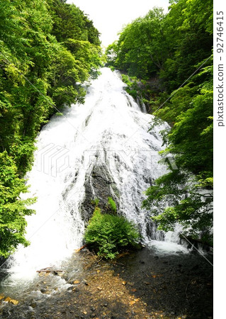[Yudaki, one of the three famous waterfalls in Oku-Nikko, Nikko City] 92746415