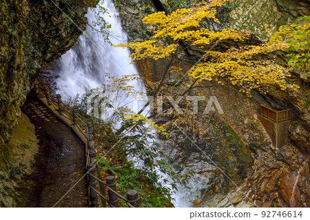 Thunder Falls (Matsukawa Gorge, Takayama Village) Thunder Falls (Matsukawa Gorge, Takayama Village) 92746614