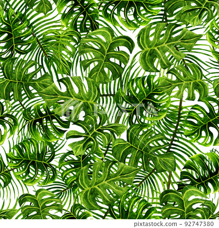 Seamless pattern. Watercolour hand drawn tropical plants, monstera, white background. Seamless pattern. Watercolour hand drawn tropical plants, monstera, white background. 92747380
