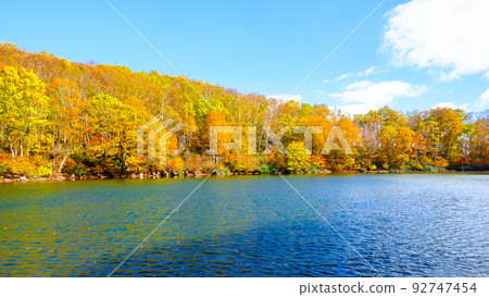 Autumn leaves of Sennin Pond (Sasagamine Plateau) 92747454