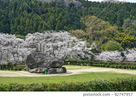National Asuka Historical Park Ishibutai District Ishibutai Tumulus and Sakura National Asuka Historical Park Ishibutai District Ishibutai Tumulus and Sakura 92747957