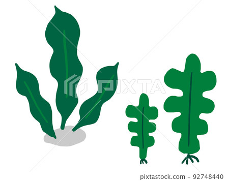 Cute seaweed konbu and seaweed / hand-drawn illustration material 92748440