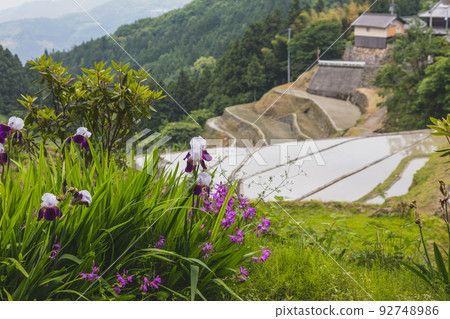 Izumiya Tanada 92748986