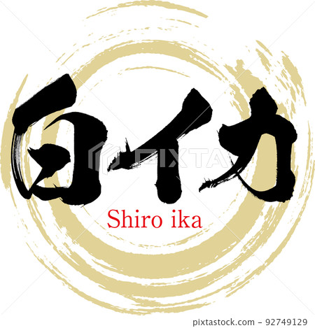 白烏賊（鳥取特產、美食） 92749129