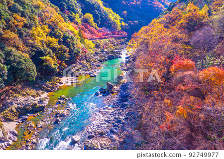 Autumnal leaves and truck trains at Hozu Gorge 92749977