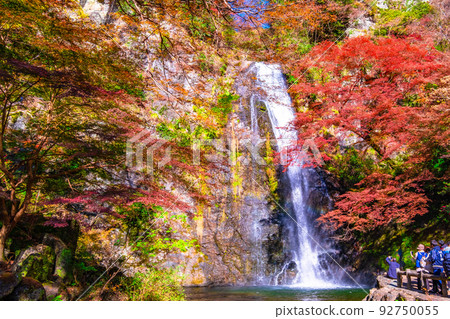 Minohs Falls and autumn leaves 92750055