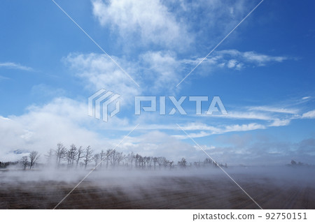 Shallow fog under the blue sky (eastern Hokkaido) 92750151