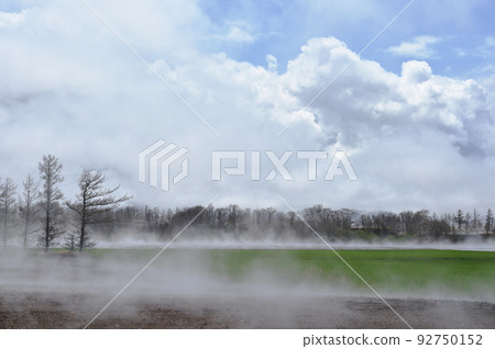 Shallow fog under the blue sky (eastern Hokkaido) 92750152