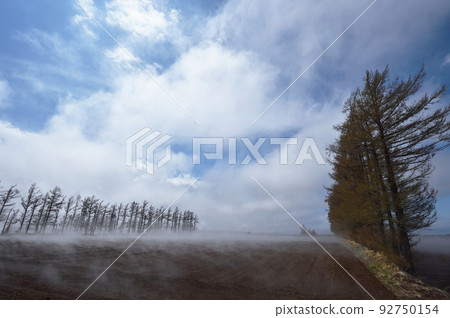 藍天下的淺霧（北海道東部） 92750154