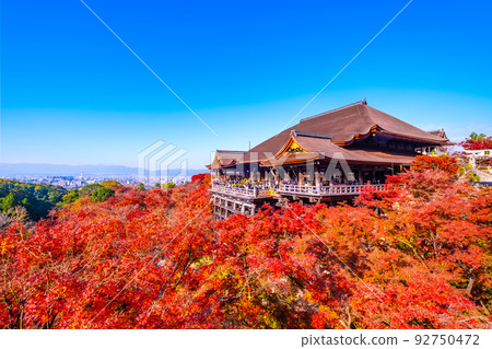 Kiyomizu Temple stage and autumn leaves Kiyomizu Temple stage and autumn leaves 92750472