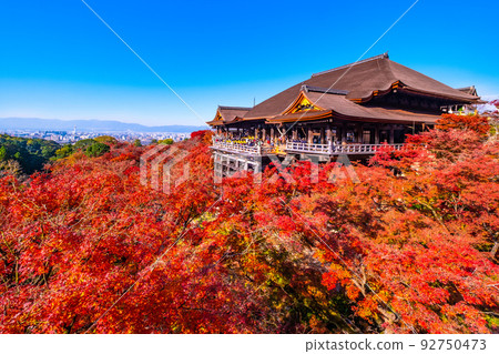 Kiyomizu Temple stage and autumn leaves 92750473