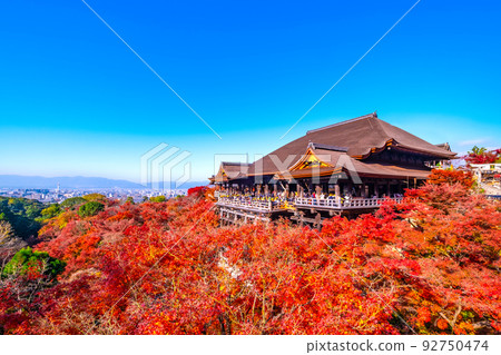 清水寺舞台和秋葉 92750474