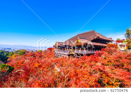 Kiyomizu Temple stage and autumn leaves 92750476