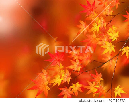 Fashionable vector out-of-focus background material frame of beautiful autumn leaves with red autumn leaves 92750781
