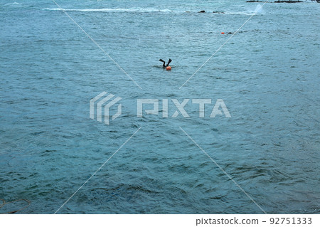 濟州海女在深海冒著生命危險 濟州海女在深海冒著生命危險 92751333