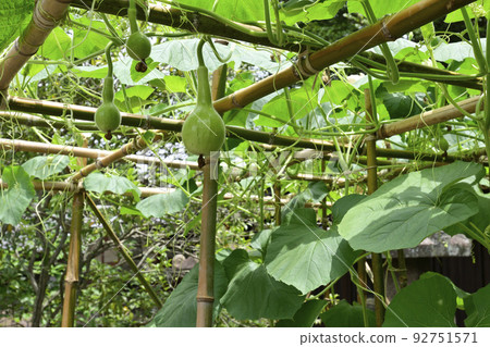 Toyokuni Shrine Sennari Gourd Toyokuni Shrine Sennari Gourd 92751571