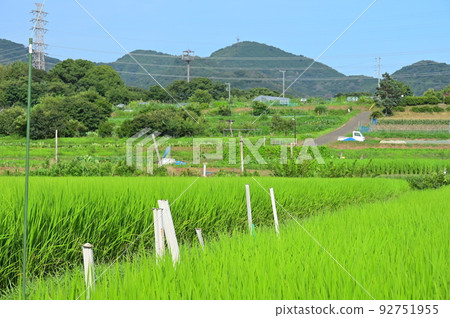The original scenery of Hadano Tahara Furusato summer countryside The original scenery of Hadano Tahara Furusato summer countryside 92751955