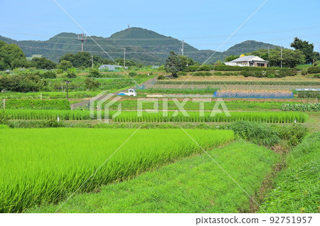 The original scenery of Hadano Tahara Furusato summer countryside The original scenery of Hadano Tahara Furusato summer countryside 92751957