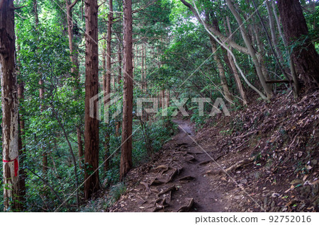Mount Takao climbing in Hachioji, Tokyo Mount Takao climbing in Hachioji, Tokyo 92752016