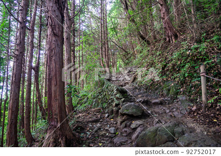 東京八王子登山高尾山 東京八王子登山高尾山 92752017