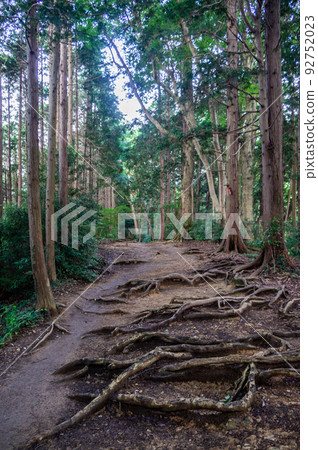 東京八王子登山高尾山 92752023