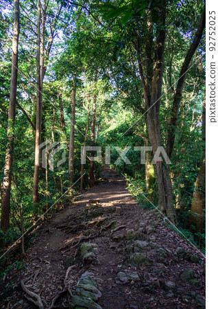 東京八王子登山高尾山 東京八王子登山高尾山 92752025