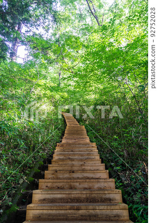 東京八王子登山高尾山 東京八王子登山高尾山 92752028