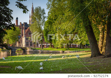 Swans resting near Beguinage and idyllic canal, Bruges, Belgium 92752174