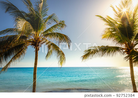 Idyllic caribbean beach with palm tree at sunset in Aruba, Dutch Antilles Idyllic caribbean beach with palm tree at sunset in Aruba, Dutch Antilles 92752384