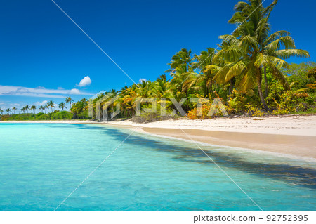 Tropical paradise: idyllic caribbean beach with palm trees, Punta Cana, Saona Tropical paradise: idyllic caribbean beach with palm trees, Punta Cana, Saona 92752395