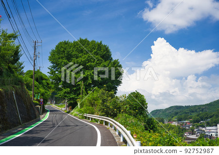 俯瞰夏日雲霧的斜坡上的懷舊風景 俯瞰夏日雲霧的斜坡上的懷舊風景 92752987