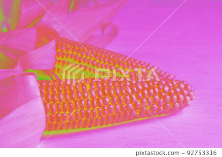 Fresh corn on the cob on a wooden white table, close-up in neon colors Fresh corn on the cob on a wooden white table, close-up in neon colors 92753316