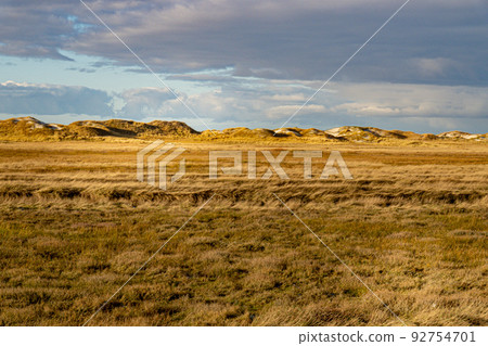 Amazing landscape at the Wadden Sea in St Peter Ording Germany Amazing landscape at the Wadden Sea in St Peter Ording Germany 92754701